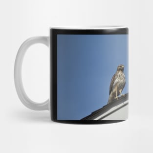 Hawk Mug